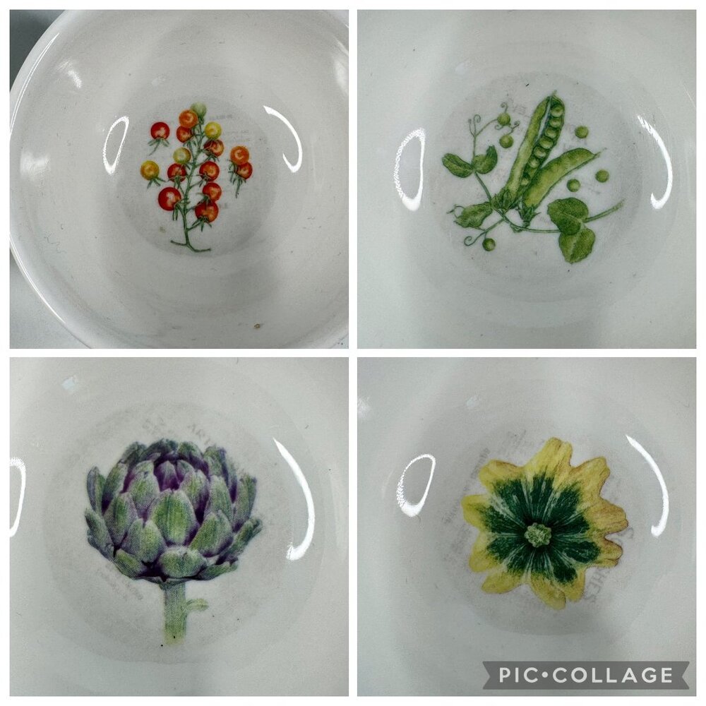 Jane Shasky Small 3 in Ceramic Bowls 4-Pc Set Vegetable Print Microwave Safe - Picture 8 of 16